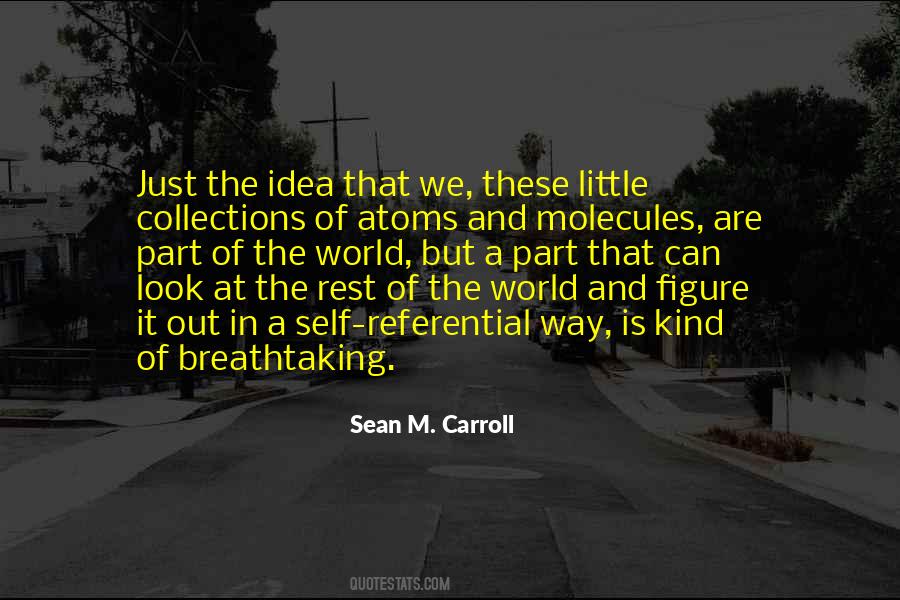 Sean M. Carroll Quotes #1291982