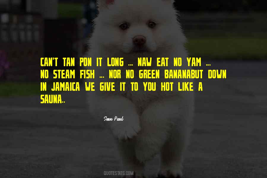 Sean Paul Quotes #17878
