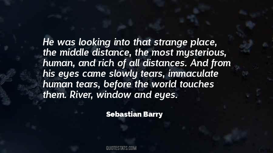 Sebastian Barry Quotes #1571065