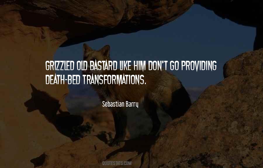 Sebastian Barry Quotes #205671