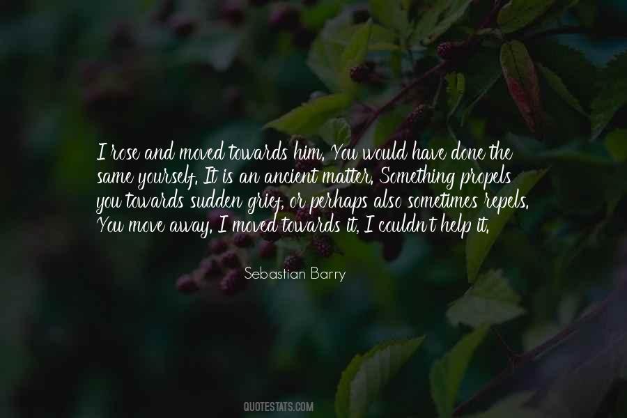 Sebastian Barry Quotes #340041