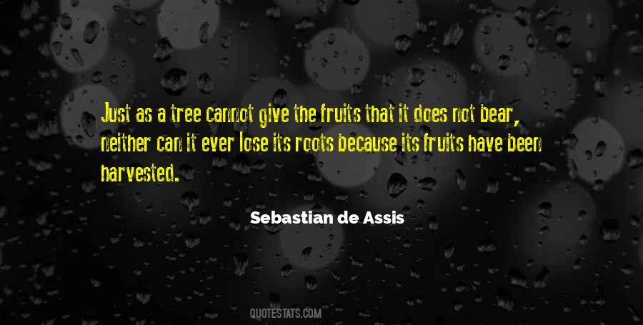 Sebastian De Assis Quotes #899833