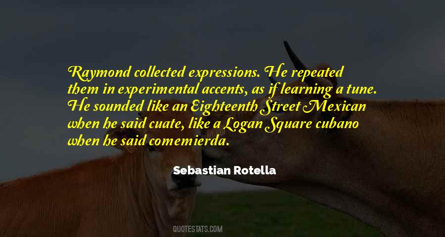 Sebastian Rotella Quotes #725440