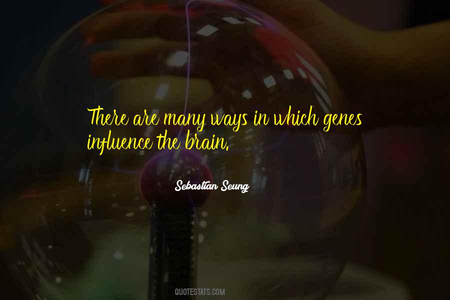 Sebastian Seung Quotes #1613236