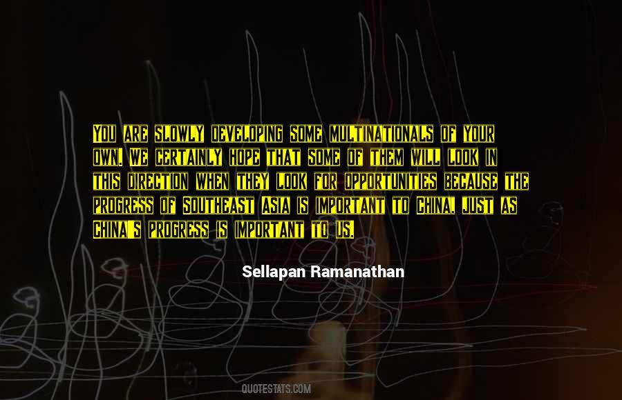 Sellapan Ramanathan Quotes #979717