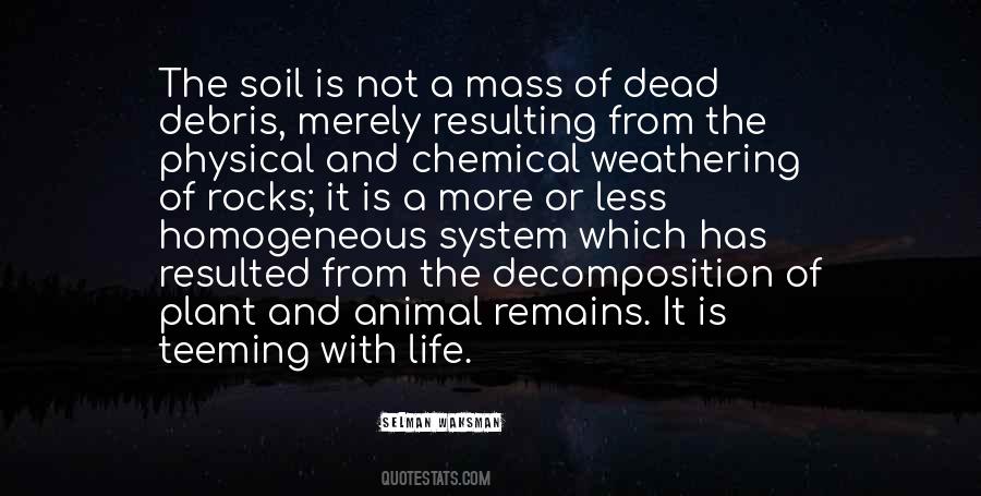 Selman Waksman Quotes #545144