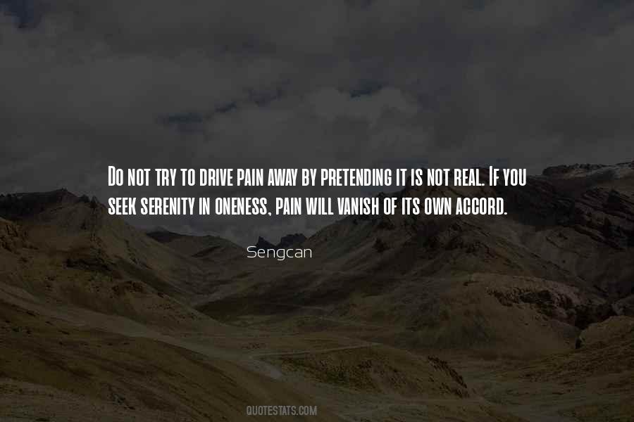 Sengcan Quotes #1491582