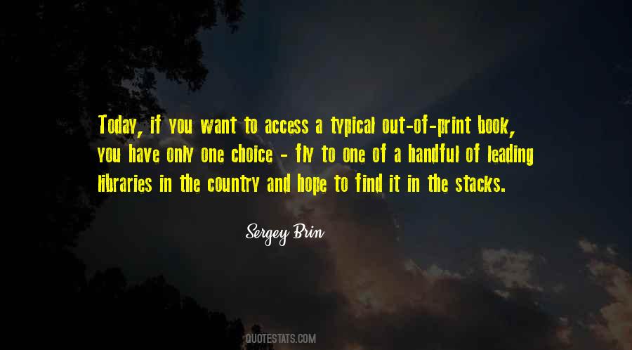 Sergey Brin Quotes #1331067