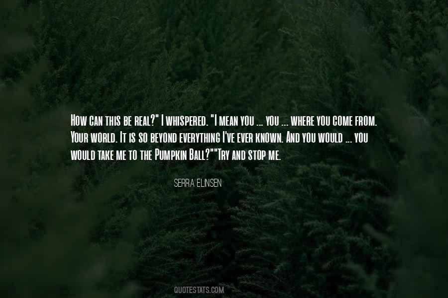 Serra Elinsen Quotes #881839