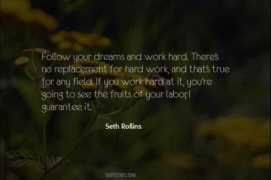 Seth Rollins Quotes #394633