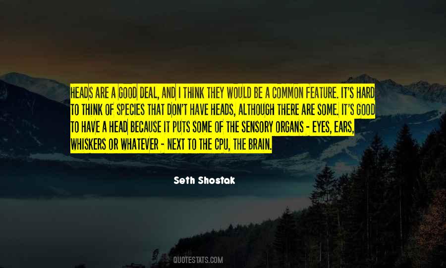 Seth Shostak Quotes #1847383