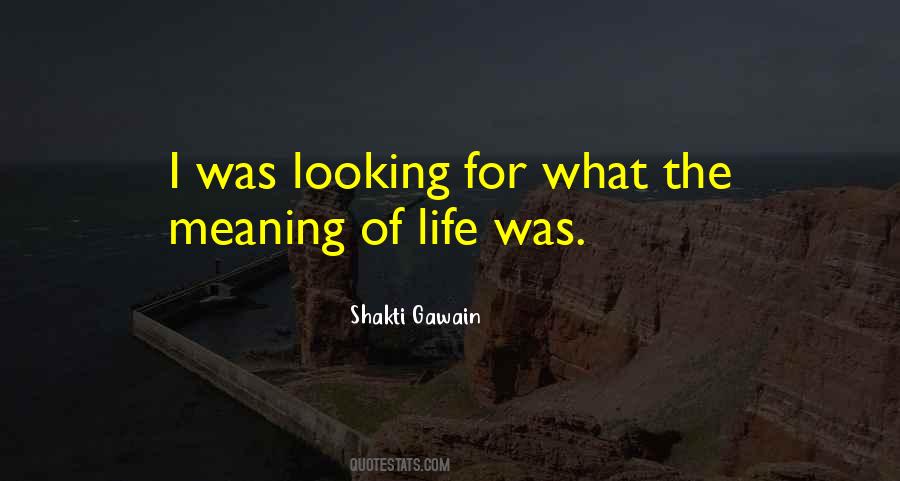 Shakti Gawain Quotes #386206