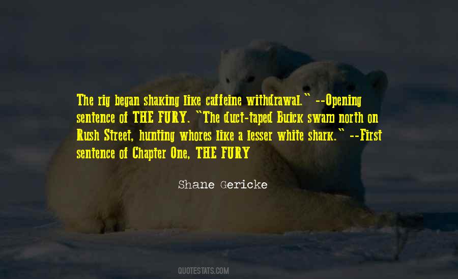 Shane Gericke Quotes #759015