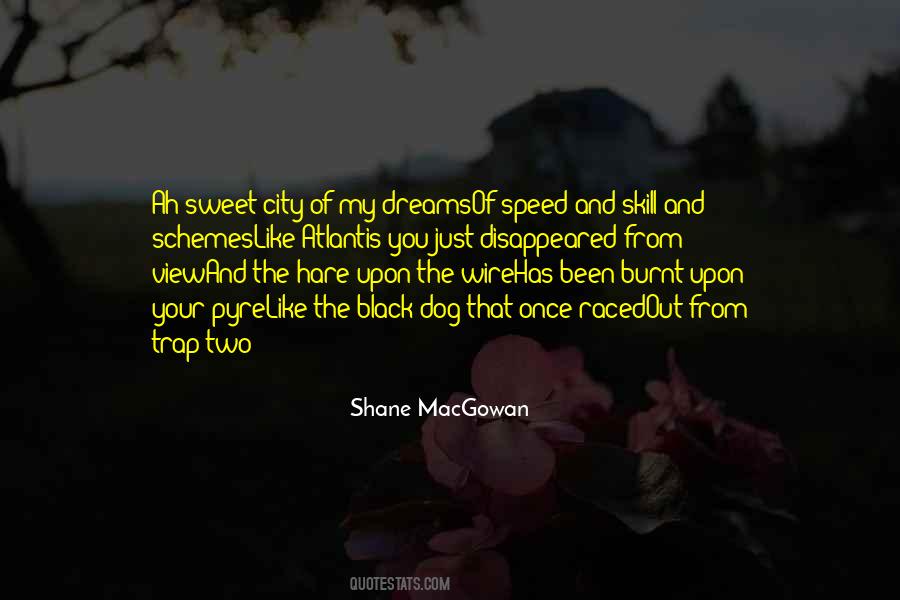 Shane MacGowan Quotes #1457842
