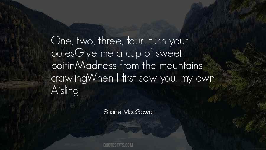 Shane MacGowan Quotes #169445
