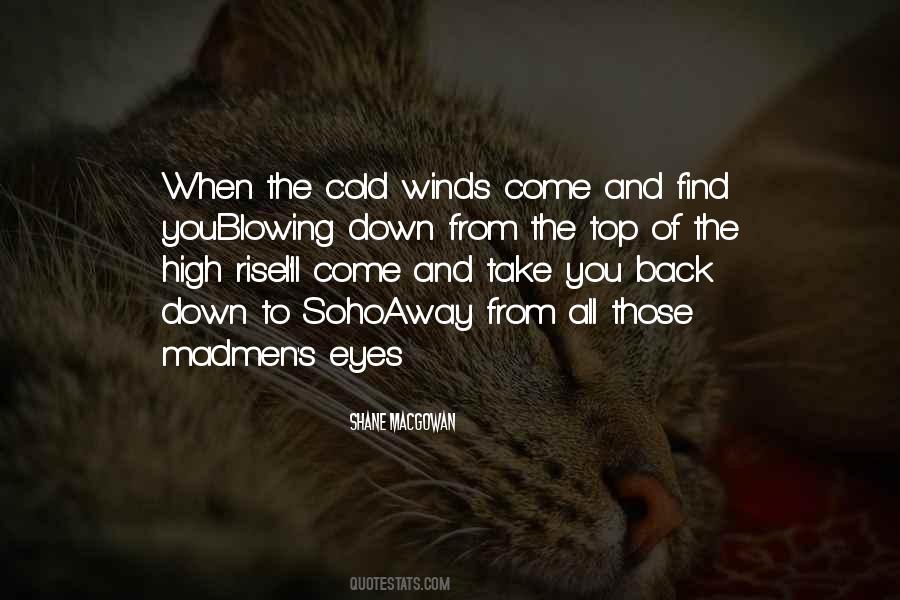 Shane MacGowan Quotes #527771