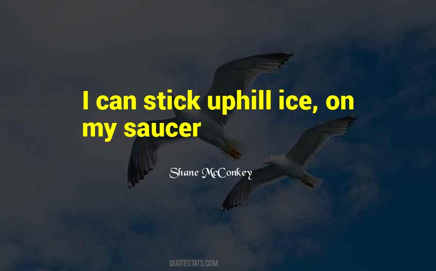 Shane McConkey Quotes #391743 Shane McConkey Quotes #391743
