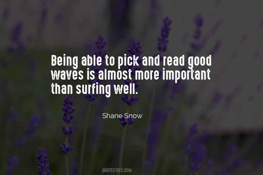 Shane Snow Quotes #391590