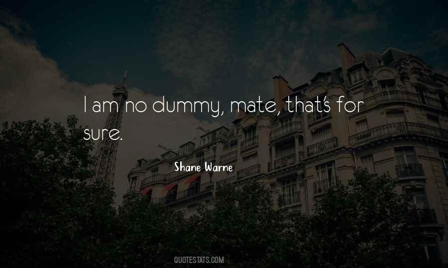 Shane Warne Quotes #1068942