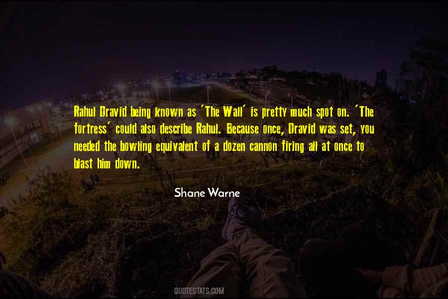 Shane Warne Quotes #295551