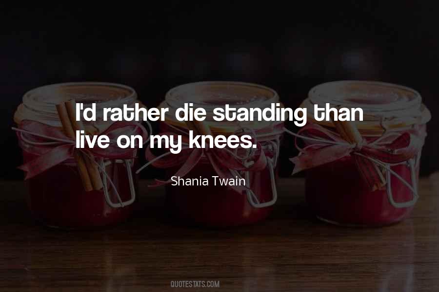 Shania Twain Quotes #177689