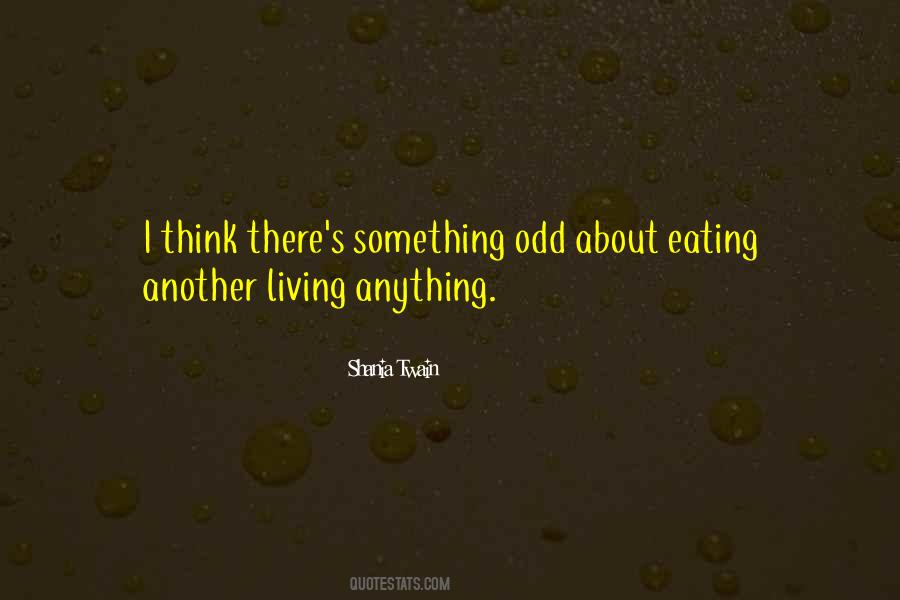 Shania Twain Quotes #211508