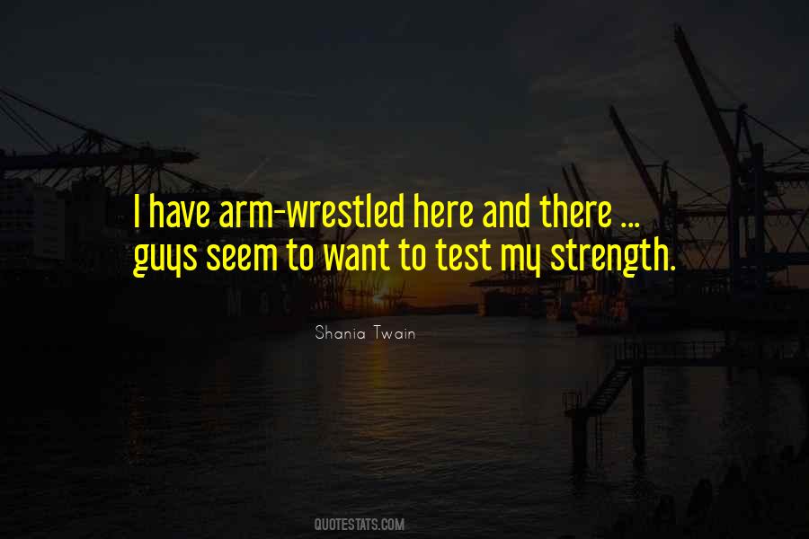 Shania Twain Quotes #5804
