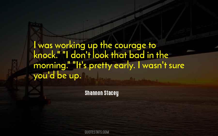 Shannon Stacey Quotes #681446