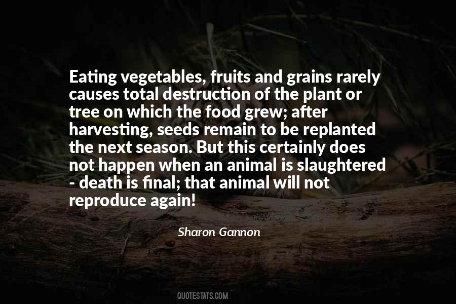 Sharon Gannon Quotes #1395130