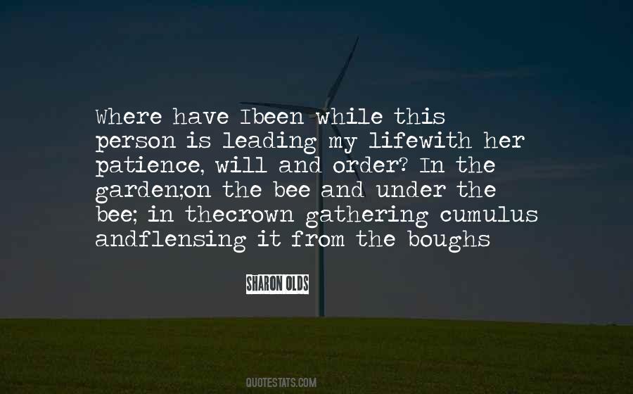 Sharon Olds Quotes #305202