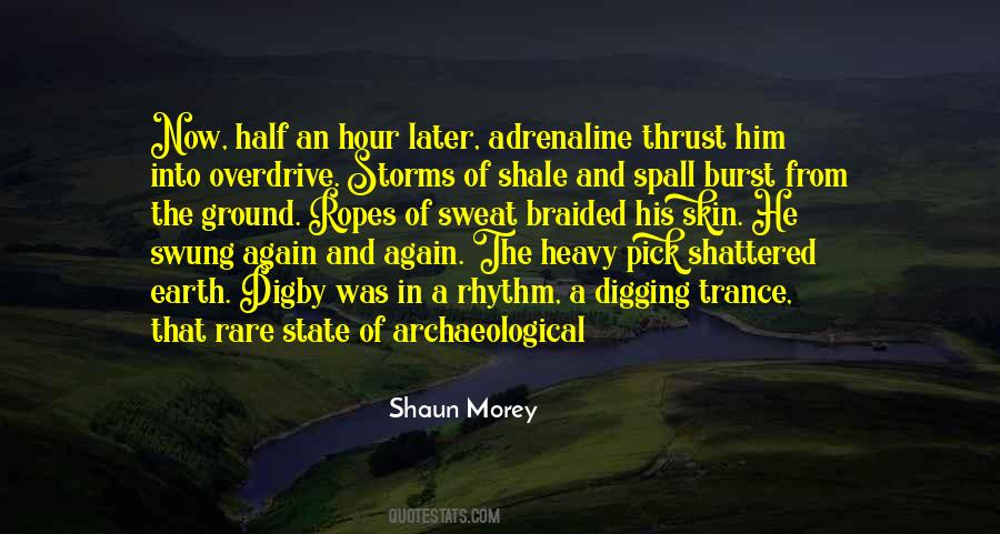 Shaun Morey Quotes #1114423