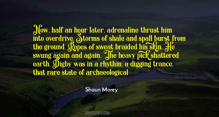 Shaun Morey Quotes #1114423 Shaun Morey Quotes #1114423