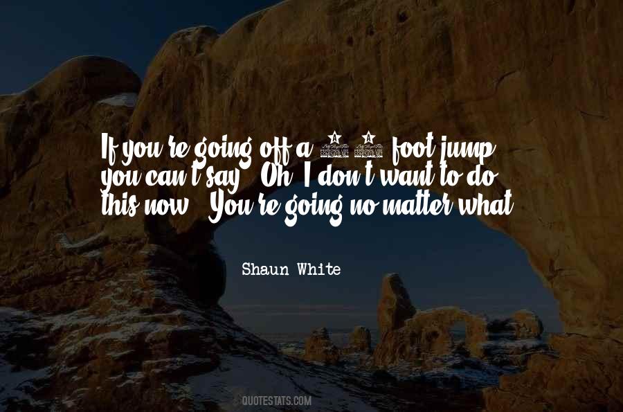 Shaun White Quotes #987407