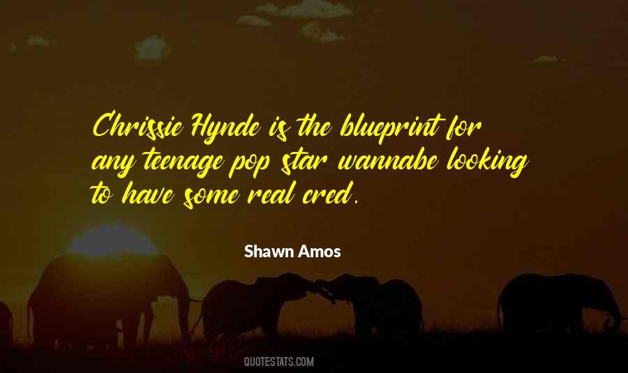 Shawn Amos Quotes #823666