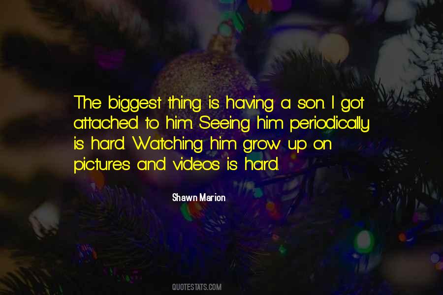 Shawn Marion Quotes #1606262