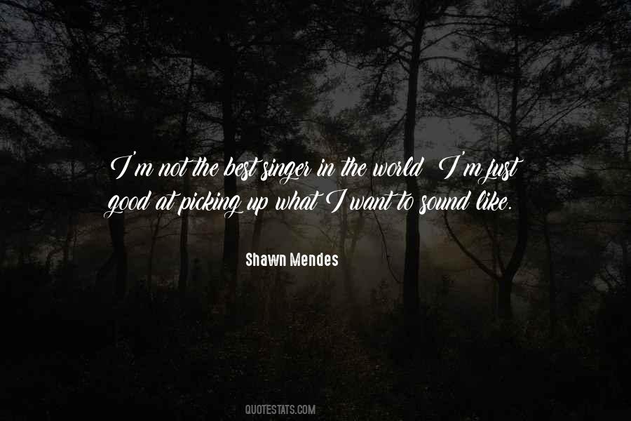 Shawn Mendes Quotes #453549