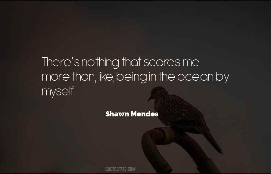 Shawn Mendes Quotes #556363