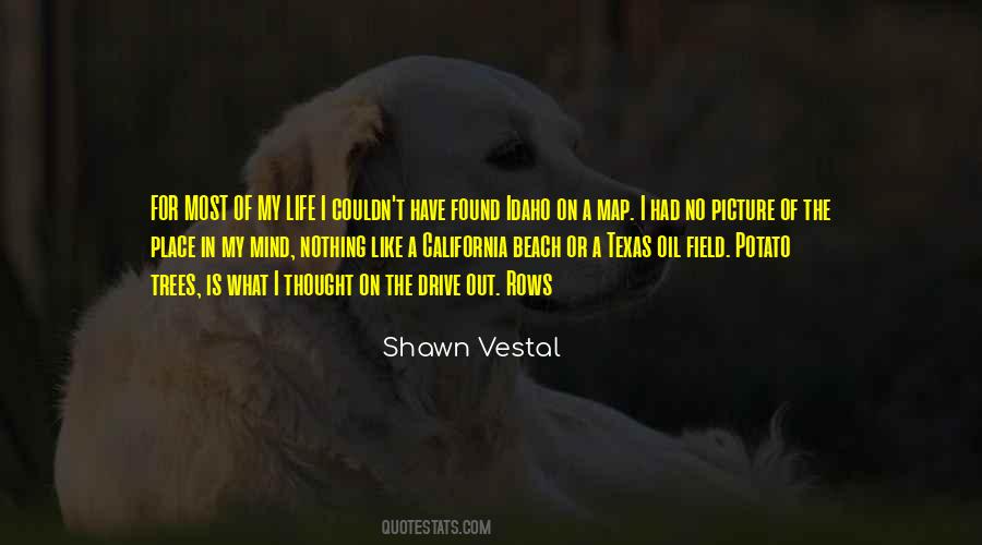 Shawn Vestal Quotes #1363160