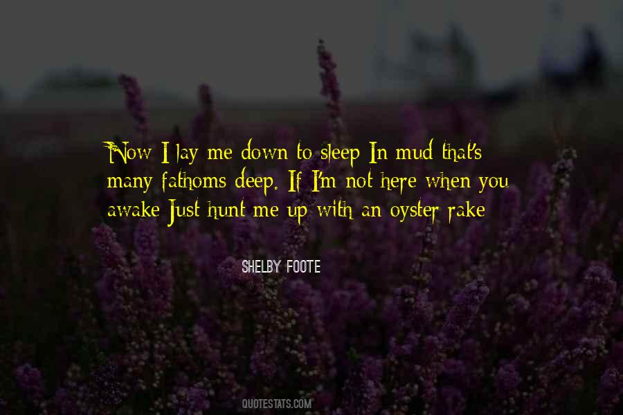 Shelby Foote Quotes #261338