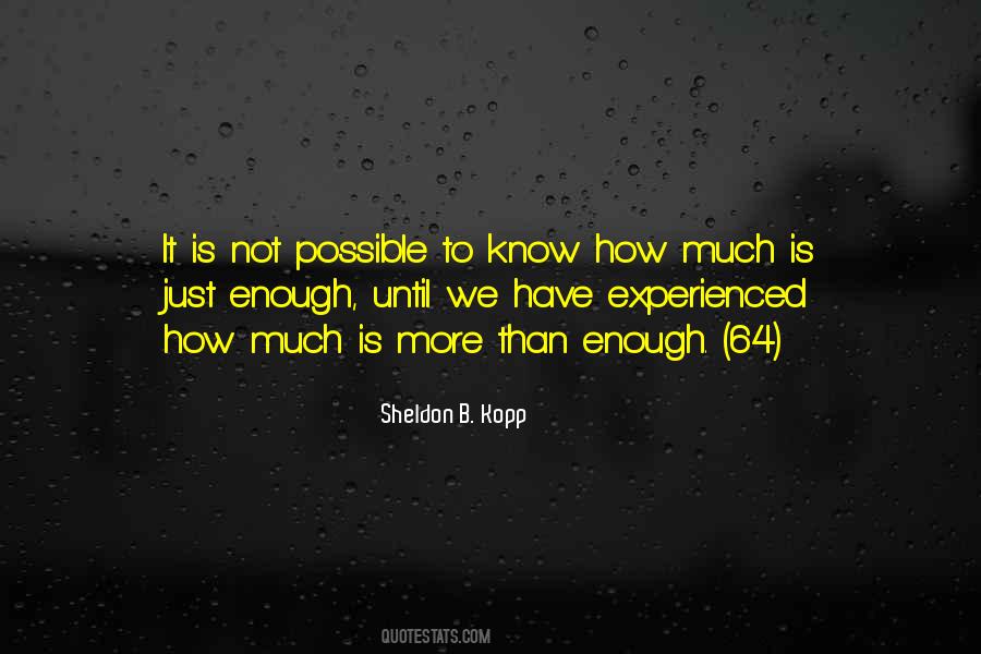 Sheldon B. Kopp Quotes #1858671