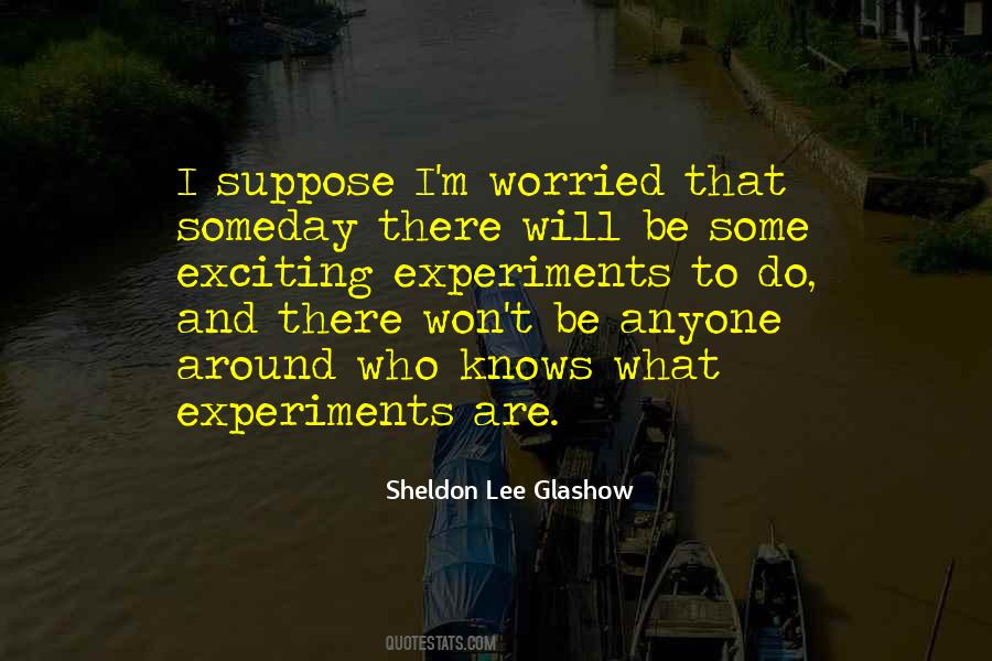 Sheldon Lee Glashow Quotes #1028602