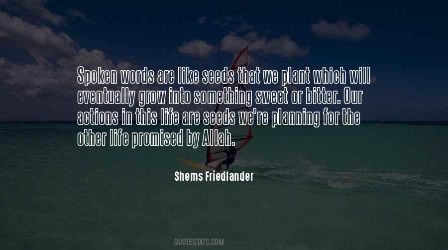 Shems Friedlander Quotes #1062039 Shems Friedlander Quotes #1062039