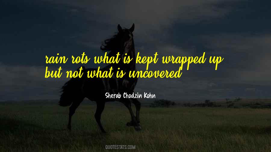 Sherab Chodzin Kohn Quotes #640946 Sherab Chodzin Kohn Quotes #640946