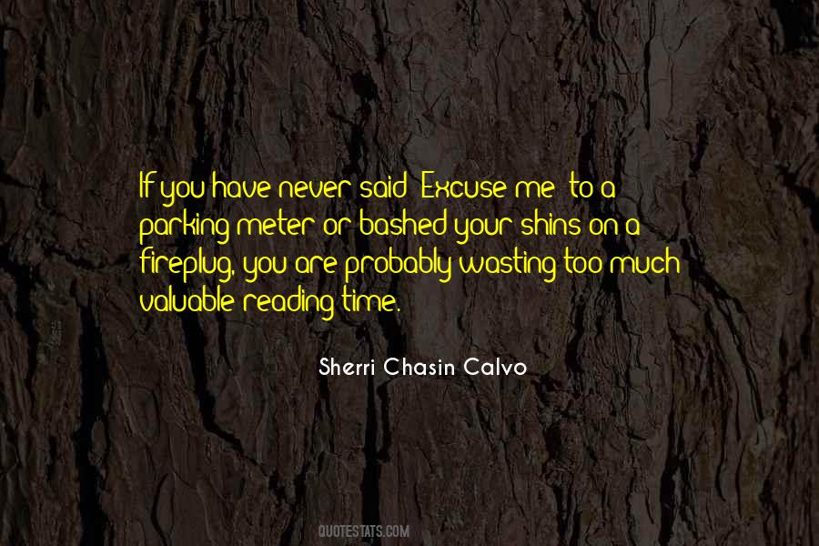Sherri Chasin Calvo Quotes #780175