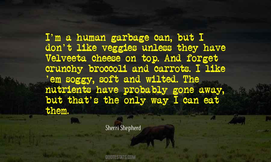 Sherri Shepherd Quotes #462883