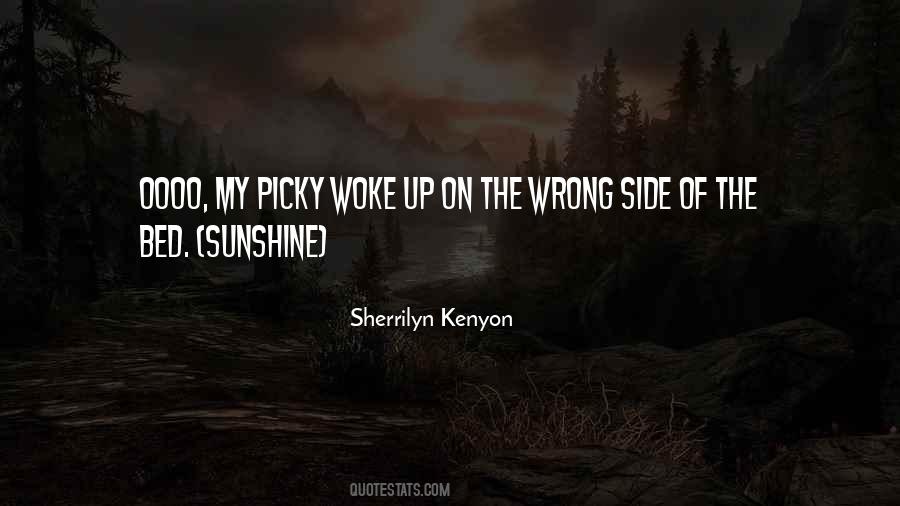 Sherrilyn Kenyon Quotes #505510