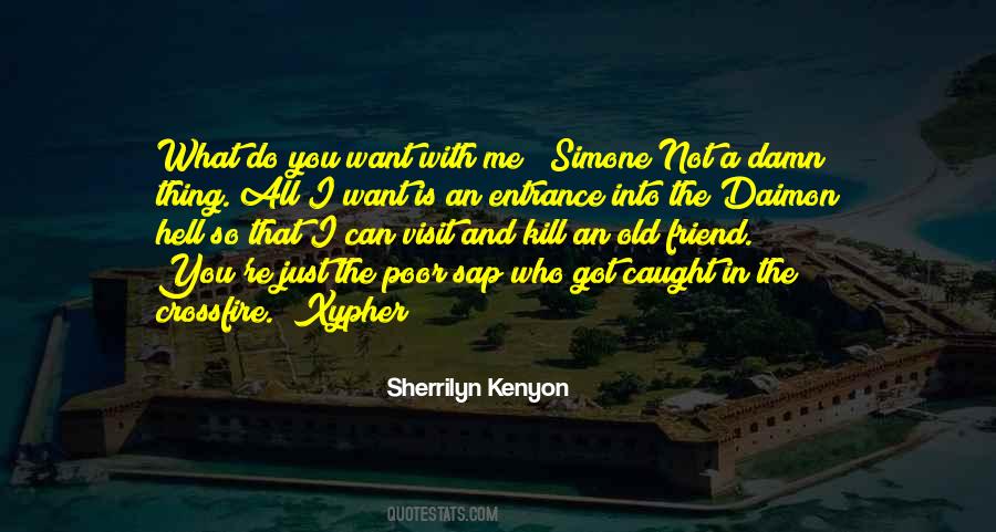 Sherrilyn Kenyon Quotes #577167