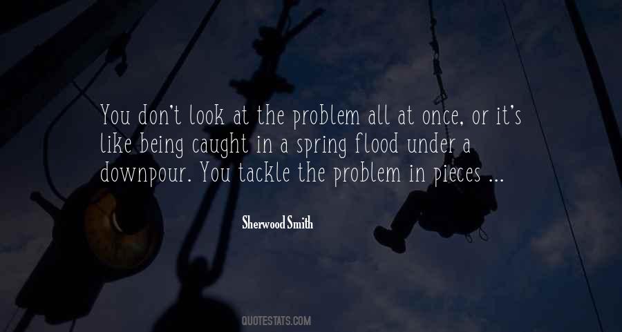 Sherwood Smith Quotes #246316