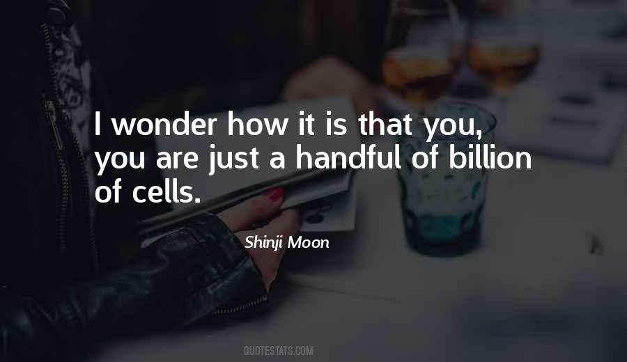 Shinji Moon Quotes #524989
