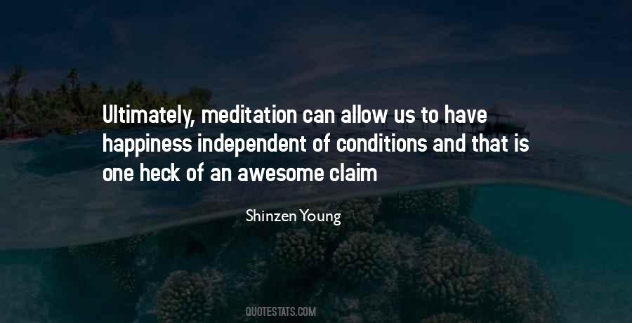 Shinzen Young Quotes #1006681